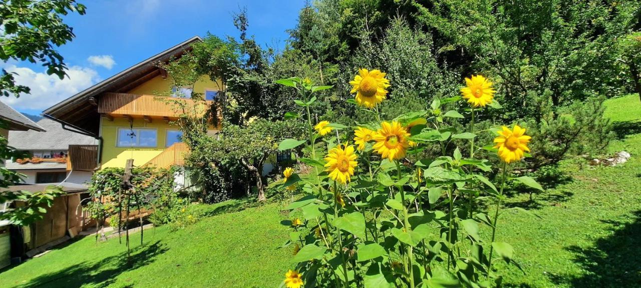 Apartment Murka Begunje na Gorenjskem Kültér fotó
